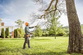 Best Lawn Seeding  in Grottoes, VA