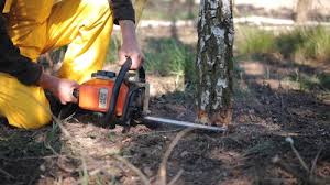 Lawn Maintenance Plans in Grottoes, VA