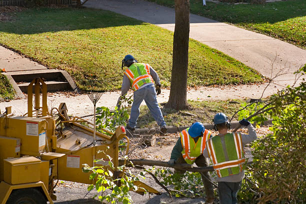 Best Seasonal Cleanup (Spring/Fall)  in Grottoes, VA